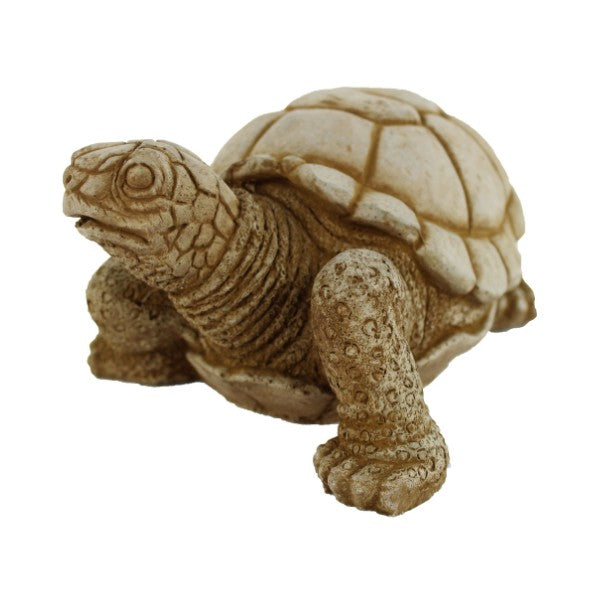 Turtle Garden Statue